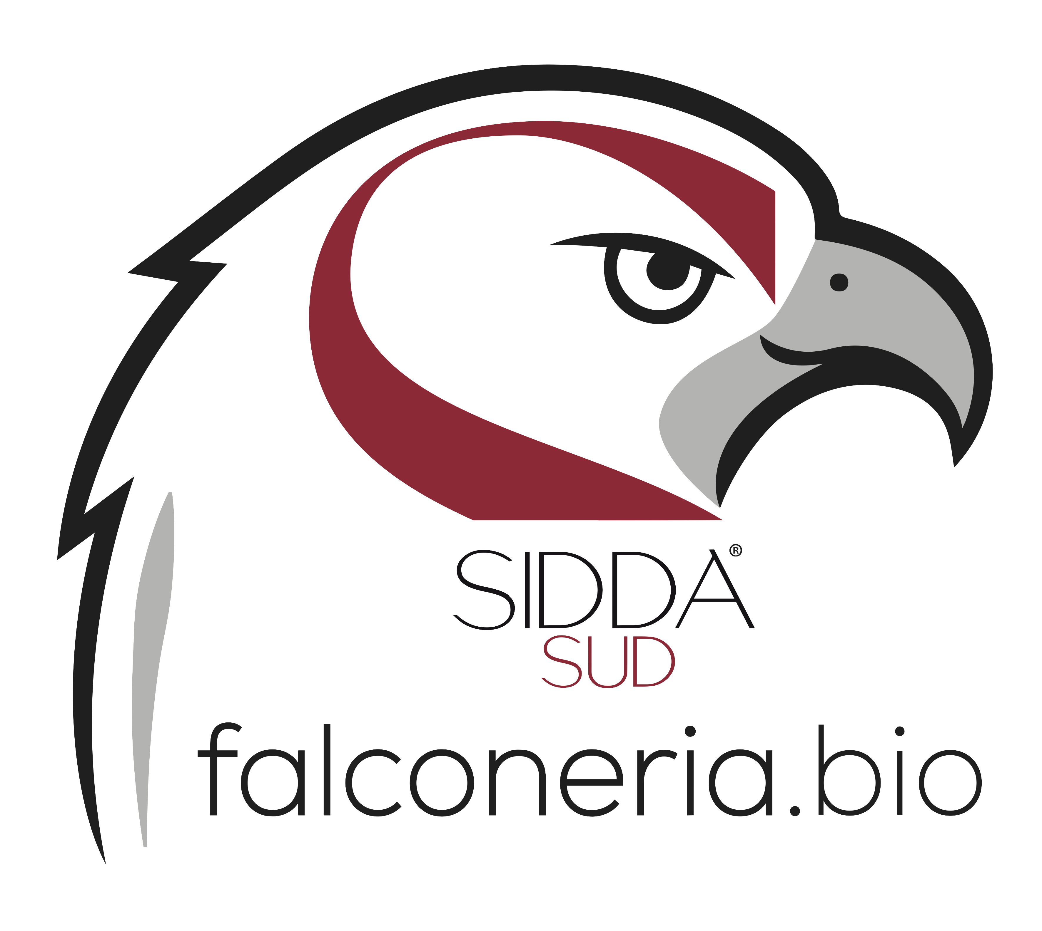 Falconeria